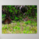 Search for cute rabbits posters Bunny