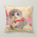 Search for cat sitting cushions Baby animals