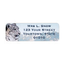 Search for big cat return address labels Leopard