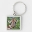 Search for giraffe square key rings Portrait