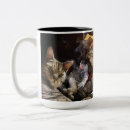 Search for cat playing mugs Cats