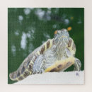 Search for reptile puzzles Turtles