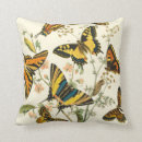 Search for insect cushions Wings