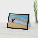 Search for seashell photography cards Seaside