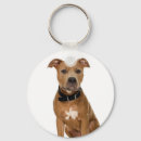 Search for pit key rings Animal