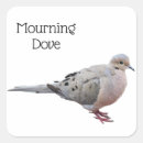 Search for rain bird stickers Nature