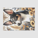 Search for rat terrier Puppy