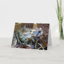Search for the toad cards Nature