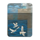 Search for seagulls magnets Ocean