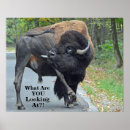 Search for digital bison posters Bull