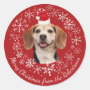 Search for family pet stickers Merry christmas