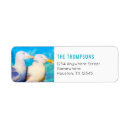 Search for digital return address labels Nature