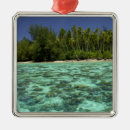 Search for polynesia christmas tree decorations Palm