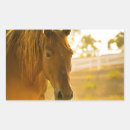Search for close rectangle stickers Animals