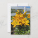 Search for lily flower note cards Summer