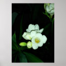 Search for glow in the dark posters Bright