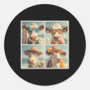 Search for retro surf stickers Sunshine