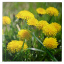 Search for dandelion tiles Green