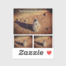 Search for meerkat stickers Mongoose