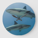 Search for caribbean clocks Blue