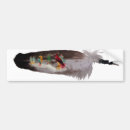 Search for feathers bumper stickers Native