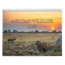 Search for south africa calendars Elephants