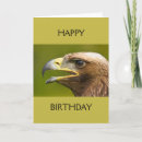 Search for bird of prey cards Wild
