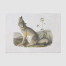 Search for fox tissue paper Antique