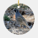 Search for quail christmas tree decorations Fowl