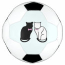 Search for cat animal soccer balls Cats