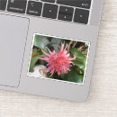 Search for tropical rainforest plants stickers Floral