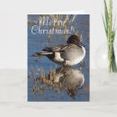 Search for duck christmas cards Birds