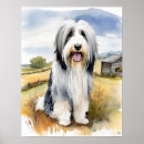 Search for bearded collie art Dogs