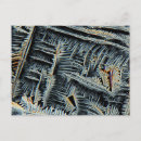 Search for dendrites Crystals
