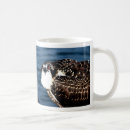 Search for osprey coffee mugs Animal