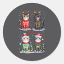 Search for cat meme stickers Trend