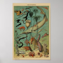 Search for antique fish print posters Marine