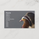Search for duck business cards Bird