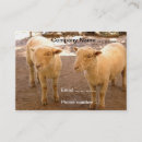 Search for sheep farm business cards Ranch