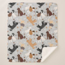 Search for labradoodle blankets Goldendoodle