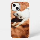 Search for albino iphone cases Wildlife