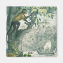 Search for amazons magnets South