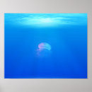 Search for blue animal posters Ocean