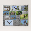 Search for eagle puzzles Birds