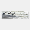 Search for bird bumper stickers Animals