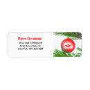 Search for pine branch return address labels Red