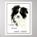Search for collie posters Animal