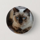 Search for add your image badges Cat