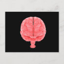 Search for human brain postcards Anatomy