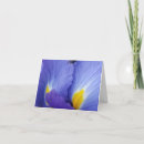 Search for detail note cards Abstract
